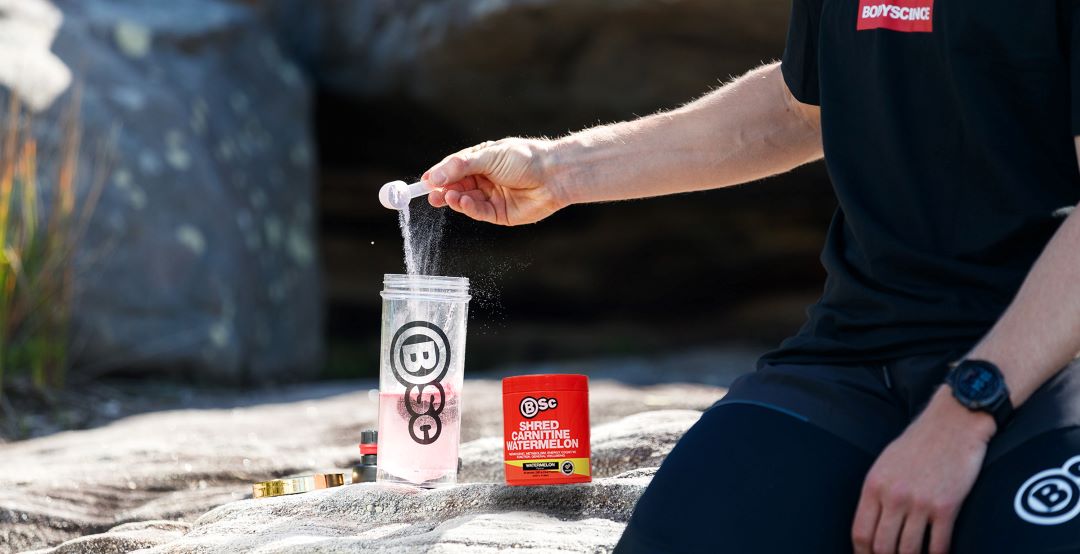 What is BSc Shred Carnitine? BSc Supplements What is BSc Shred Carnitine? BSc Supplements