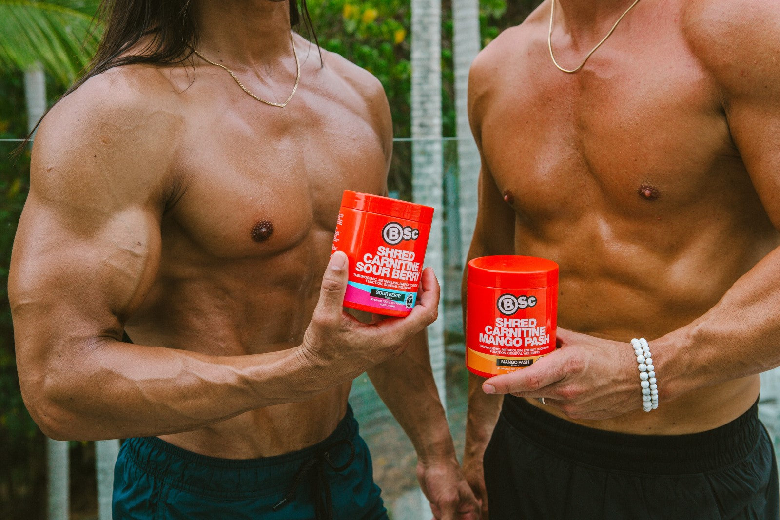 When To Take L Carnitine to Maximise Your Shredding and Beyond BSc Supplements When To Take L Carnitine to Maximise Your Shredding and Beyond BSc Supplements
