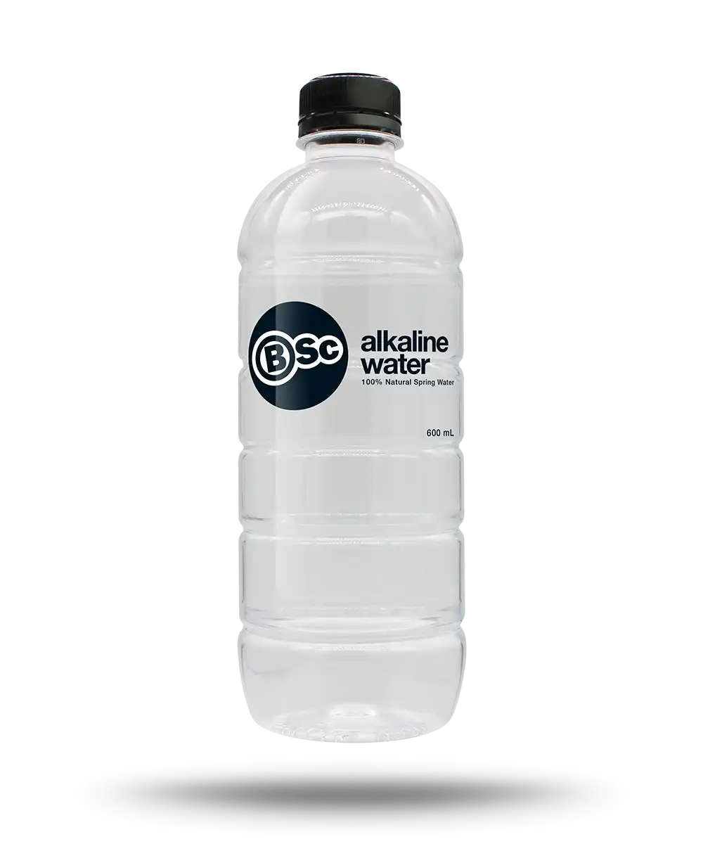 Alkaline Mountain Spring Water 600ml