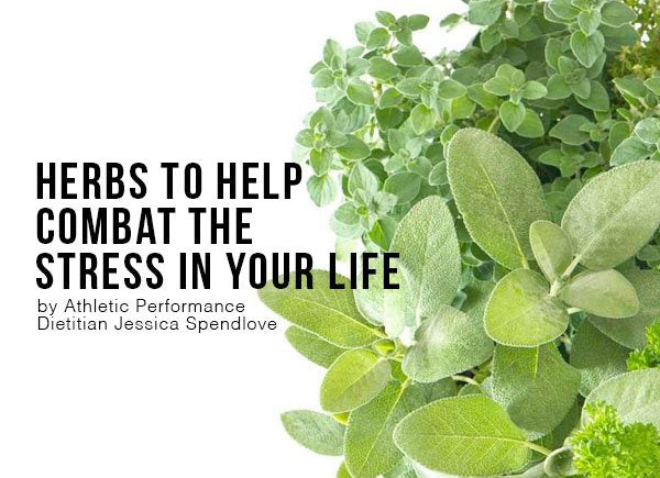 Herbs to Help Combat the Stress in Your Life by Athletic Performance Dietitian Jessica Spendlove