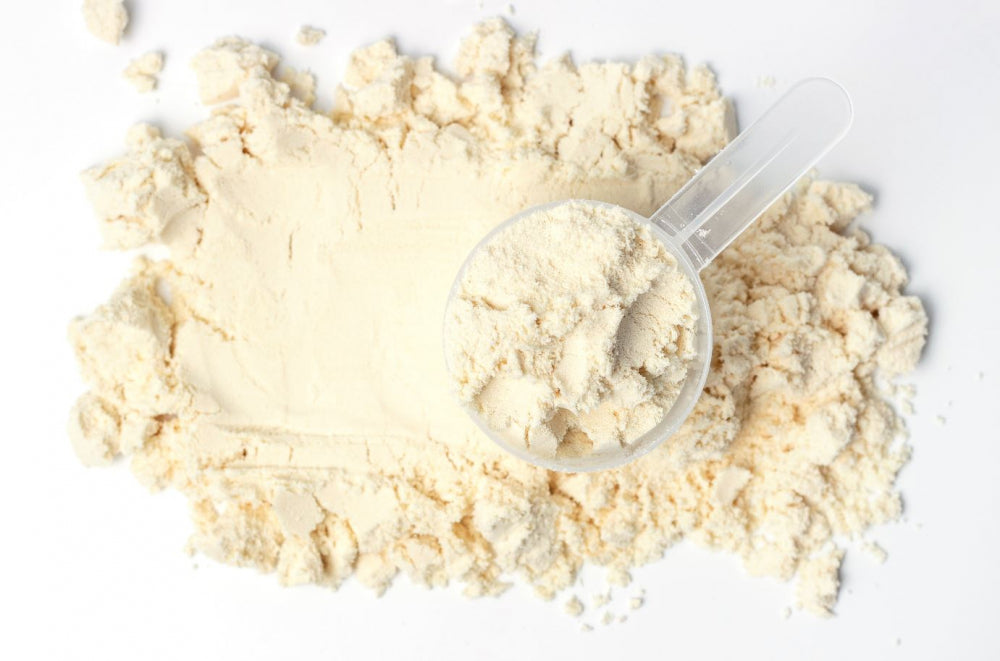 How to use Whey protein for weight loss