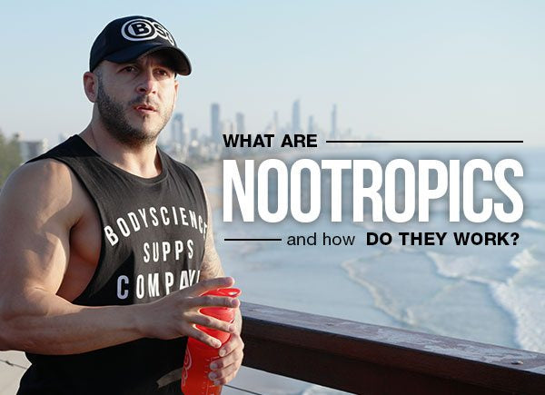 What are nootropics, and how do they work?  by personal trainer Moodi Dennaoui Expert for Body Science