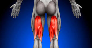 Hamstring Masterclass with Dr Mac & Adam Russell