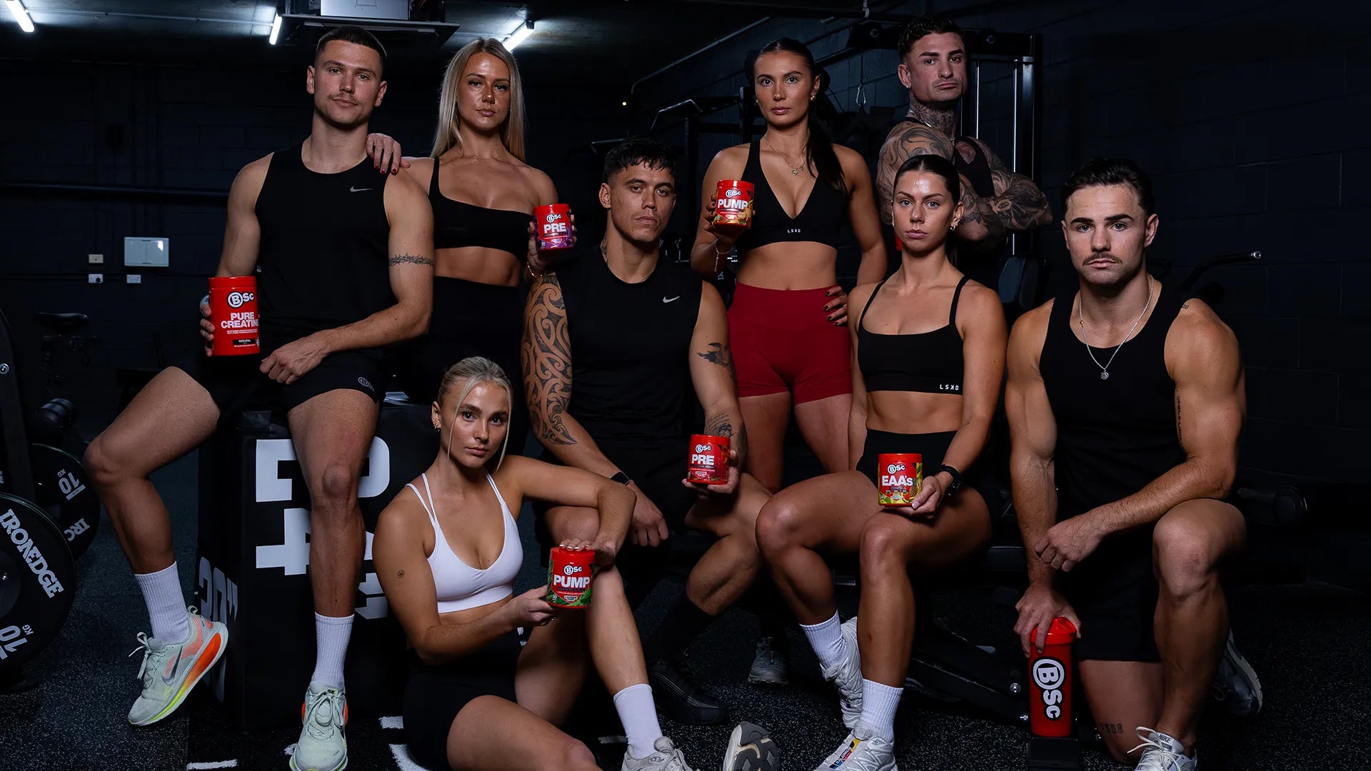 All Supplements